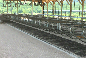 Pasture Mat