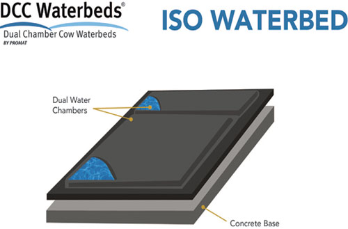 Water bed