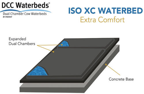 water bed