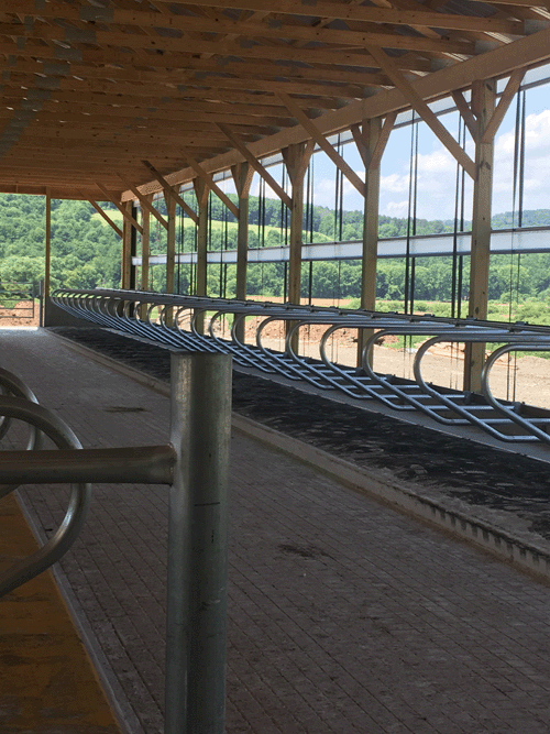 ASAP Dairy Interiors Cow mattress, dairy cows, Cow mattresses, Cow