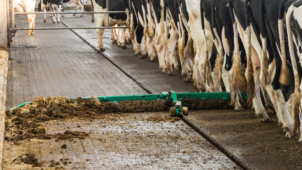 Pasture Mat