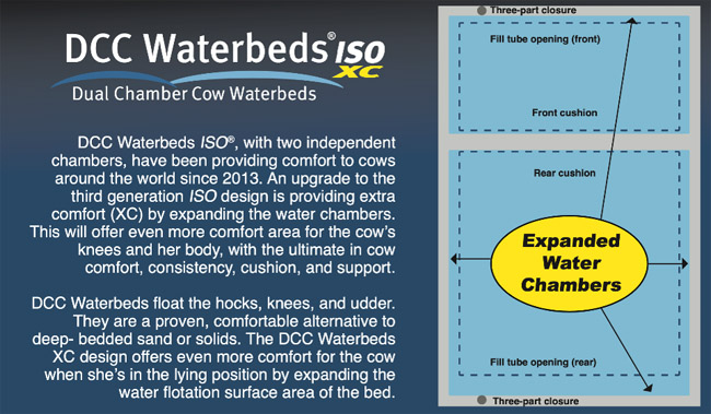 water bed