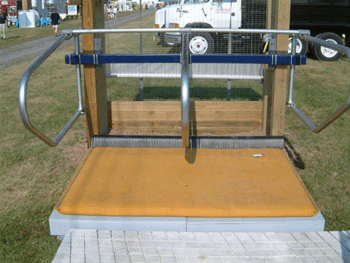 Free stalls