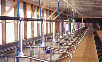Tie stalls