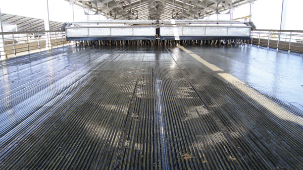 Pasture Mat