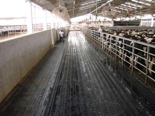 Pasture Mat